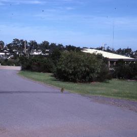 Car park entrance and Visitors Centre, Shortland Wetlands, NSW, December 1989