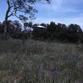 Egret hide, Shortland Wetlands, NSW, December 1989