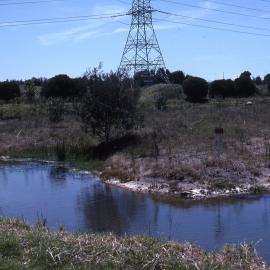 Canoe Trail island, Shortland Wetlands, NSW, December 1989