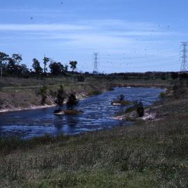 Canoe Trail, Shortland Wetlands, NSW, December 1989