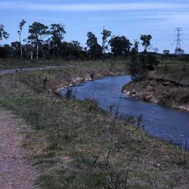 Canoe Trail, Shortland Wetlands, NSW, December 1989