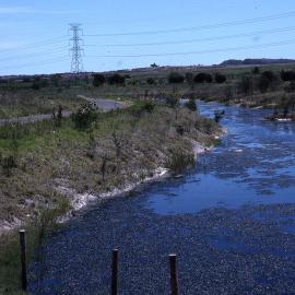 Canoe Trail launching area, Shortland Wetlands, NSW, December 1989