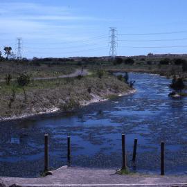Canoe Trail launching area, Shortland Wetlands, NSW, December 1989