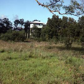 Egret hide, Shortland Wetlands, NSW, December 1989