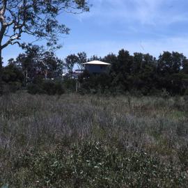 Egret hide, Shortland Wetlands, NSW, December 1989