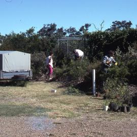 Working bee, Shortland Wetlands, NSW, March 1990