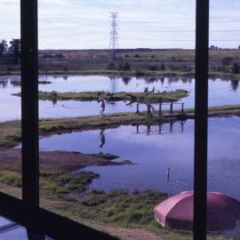 Brambles Pond, Shortland Wetlands, NSW, June 1990