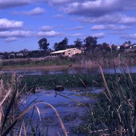 Visitors Centre across Reed Marsh, Shortland Wetlands, NSW, July 1990