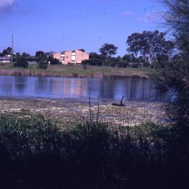 Visitors Centre across Triglochin Swamp, (Water Ribbon Pond), Shortland Wetlands, NSW, July 1990