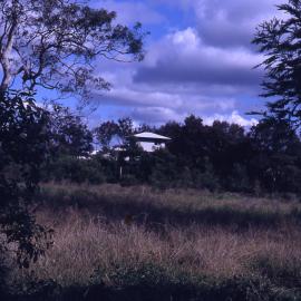 Egret hide, Shortland Wetlands, NSW, July 1990