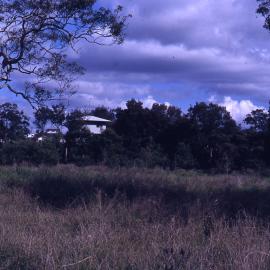 Egret hide, Shortland Wetlands, NSW, July 1990