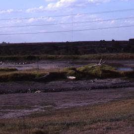 Drought, Brambles Pond, Shortland Wetlands, NSW, May 1991