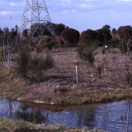 Island, Canoe Trail, Shortland Wetlands, NSW, May 1991
