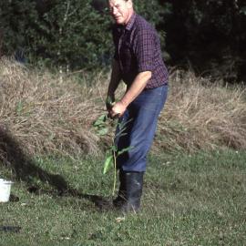 Mike Hely, Shortland Wetlands, NSW, May 1991