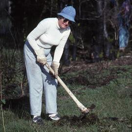 Beth Mullard, Shortland Wetlands, NSW, May 1991