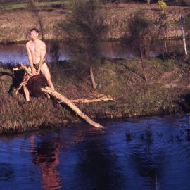 Peter Vaughan plants giant Melaleuca, Canoe Trail Island, Shortland Wetlands, NSW, 6 June 1991