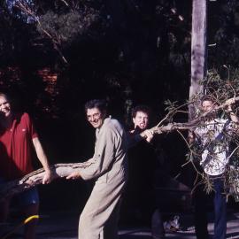 Loading Melaleuca quinquenervia, (Broad-leaved Paperbark), Paddy Lightfoot in overalls, Shortland Wetlands, NSW, 6 June 1991