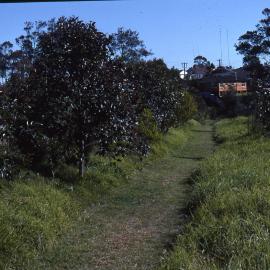 Tuxford Park fence, Shortland Wetlands, NSW, July 1991