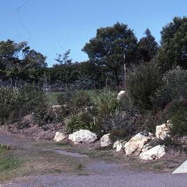 Visitors Centre gardens, Shortland Wetlands, NSW, July 1991