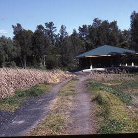 Outdoor classroom, rainforest, Shortland Wetlands, NSW, 21 September 1991