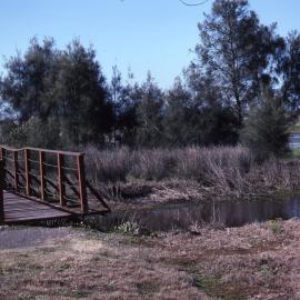 Melaleuca Swamp, Water Ribbon Pond, rustic bridge, Shortland Wetlands, NSW, July 1991