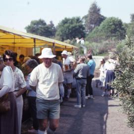 Wildflower Show, Shortland Wetlands, NSW, September 1991