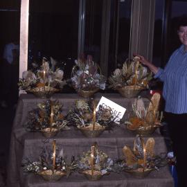 Wildflower Show, Shortland Wetlands, NSW, September 1991