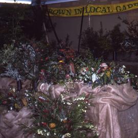 Plant display, Wildflower Show, Shortland Wetlands, NSW, September 1991