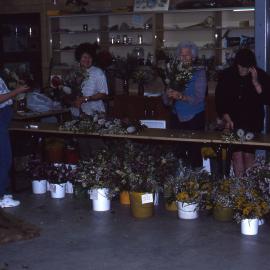 Wildflower Show, Shortland Wetlands, NSW, September 1991