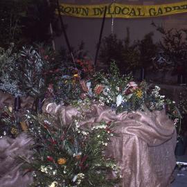 Local gardens show, Wildflower Spectacular, Shortland Wetlands, NSW, September 1991