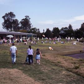 Wildflower Show, Shortland Wetlands, NSW, 1991