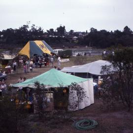 Wildflower Show, Shortland Wetlands, NSW, 1991