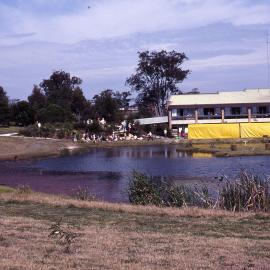 Wildflower Show, Shortland Wetlands, NSW, 1991