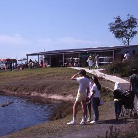 Wild Flower Show, Shortland Wetlands, NSW, 1991