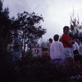 Wildflower Show, Shortland Wetlands, NSW, 1989-1994