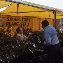 Wildflower Show, Shortland Wetlands, NSW, September 1991