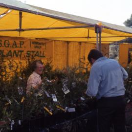 Wildflower Show, Shortland Wetlands, NSW, September 1991
