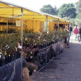 Wildflower Show, Shortland Wetlands, NSW, September 1991