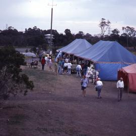 Wildflower Show, Shortland Wetlands, NSW, 1991