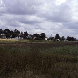 Blanch Street, Shortland Wetlands, NSW, March 1992