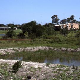 Freckled Duck enclosure site, Shortland Wetlands, NSW, March 1992
