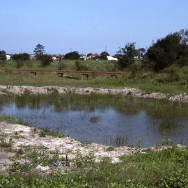 Freckled Duck enclosure site, Shortland Wetlands, NSW, March 1992