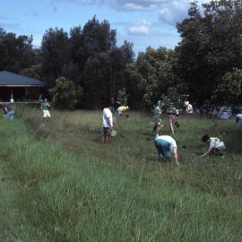Outdoor classroom, rainforest, Shortland Wetlands, NSW, April 1992