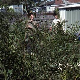 Jane Luttrell, Joan Dickinson, 75 Blanch Street, Allard's, Shortland Wetlands, NSW, 1989-1994