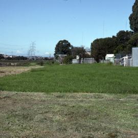 Blanch Street, pre-planting, Shortland Wetlands, NSW, May 1992