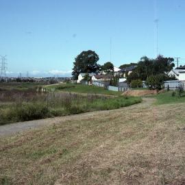 Blanch Street, pre-planting, Shortland Wetlands, NSW, July 1992