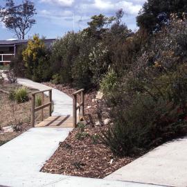 Visitors Centre gardens, Shortland Wetlands, NSW, September 1992