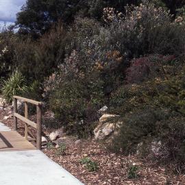 Visitors Centre gardens, Shortland Wetlands, NSW, September 1992