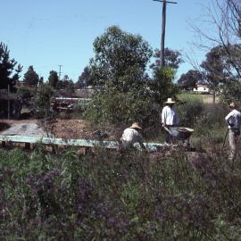 Newcastle North Rotary Club boardwalk, Shortland Wetlands, NSW, January 1993