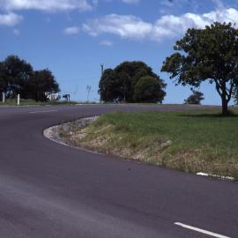 Entrance road, Shortland Wetlands, NSW, 1989-1994